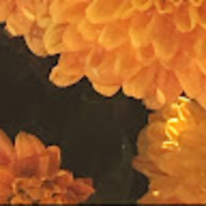 Meet your Posher, Claudia